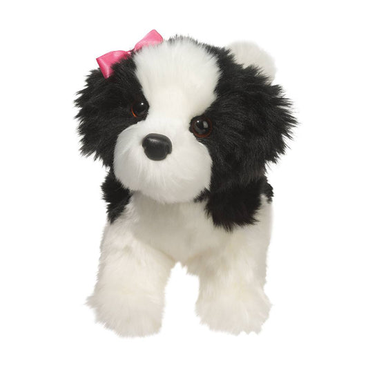 Poofy the Black & White Shih-Tzu