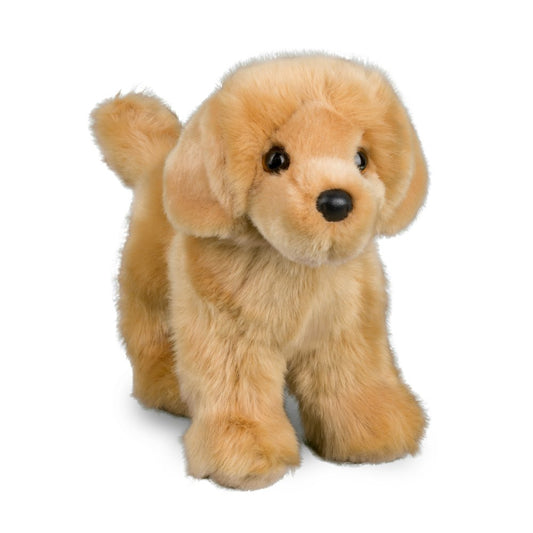 Chap the Golden Retriever