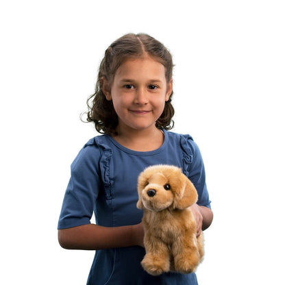 Chap the Golden Retriever