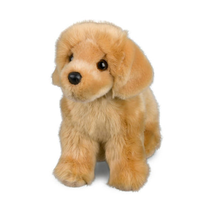 Chap the Golden Retriever