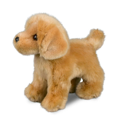 Chap the Golden Retriever