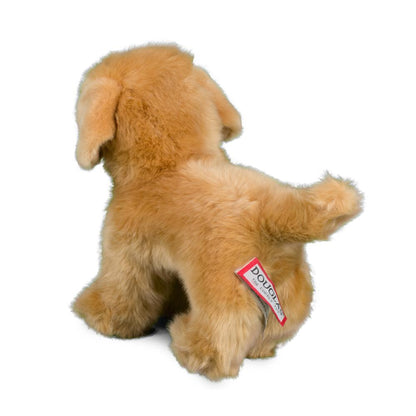 Chap the Golden Retriever