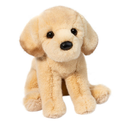 Ace the Yellow Lab