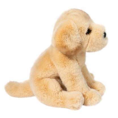 Ace the Yellow Lab