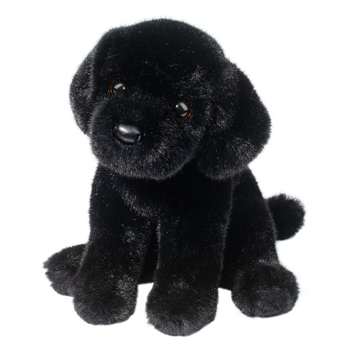Ford the Black Lab – Hello Cats and Dogs