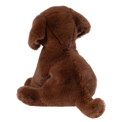 Zoom the Chocolate Lab