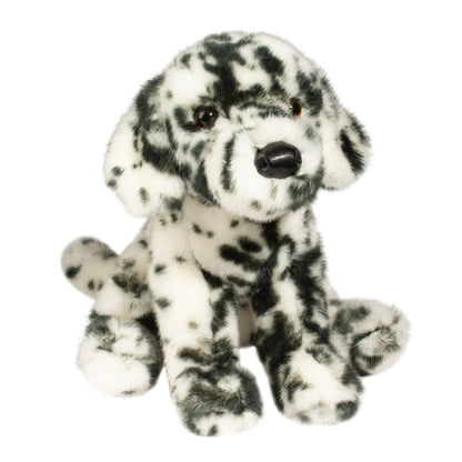 Mackay the Dalmatian