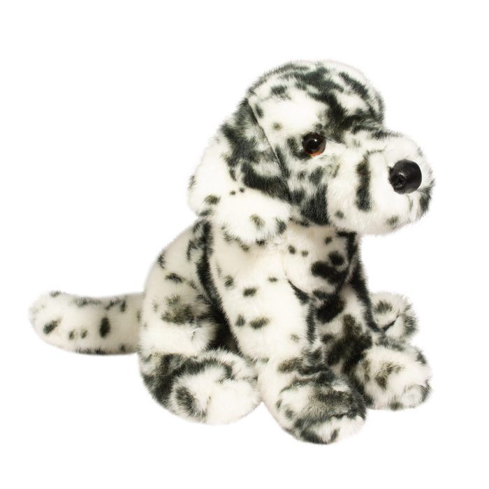 Mackay the Dalmatian