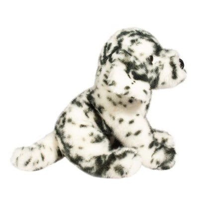 Mackay the Dalmatian