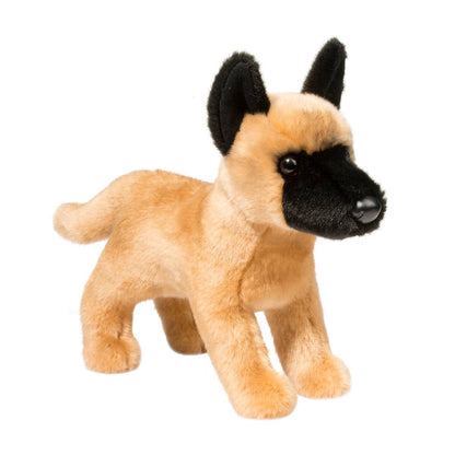 Klaus the Belgian Malinois