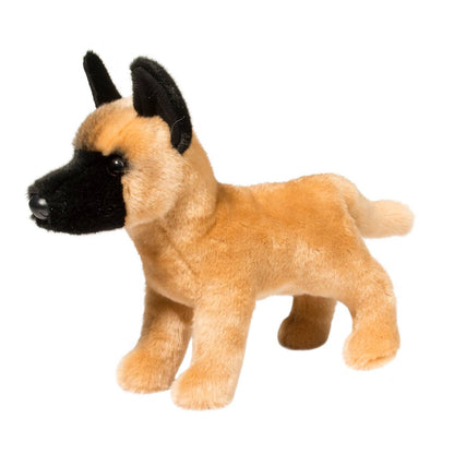 Klaus the Belgian Malinois