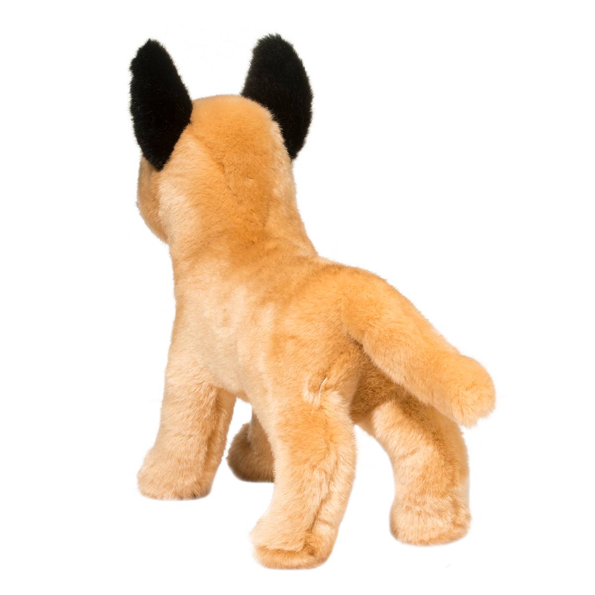 Klaus the Belgian Malinois