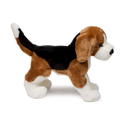 Bernie the Beagle