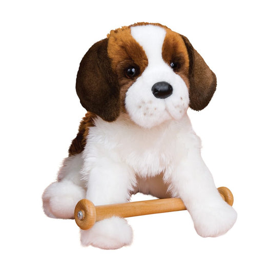 Oma the St. Bernard