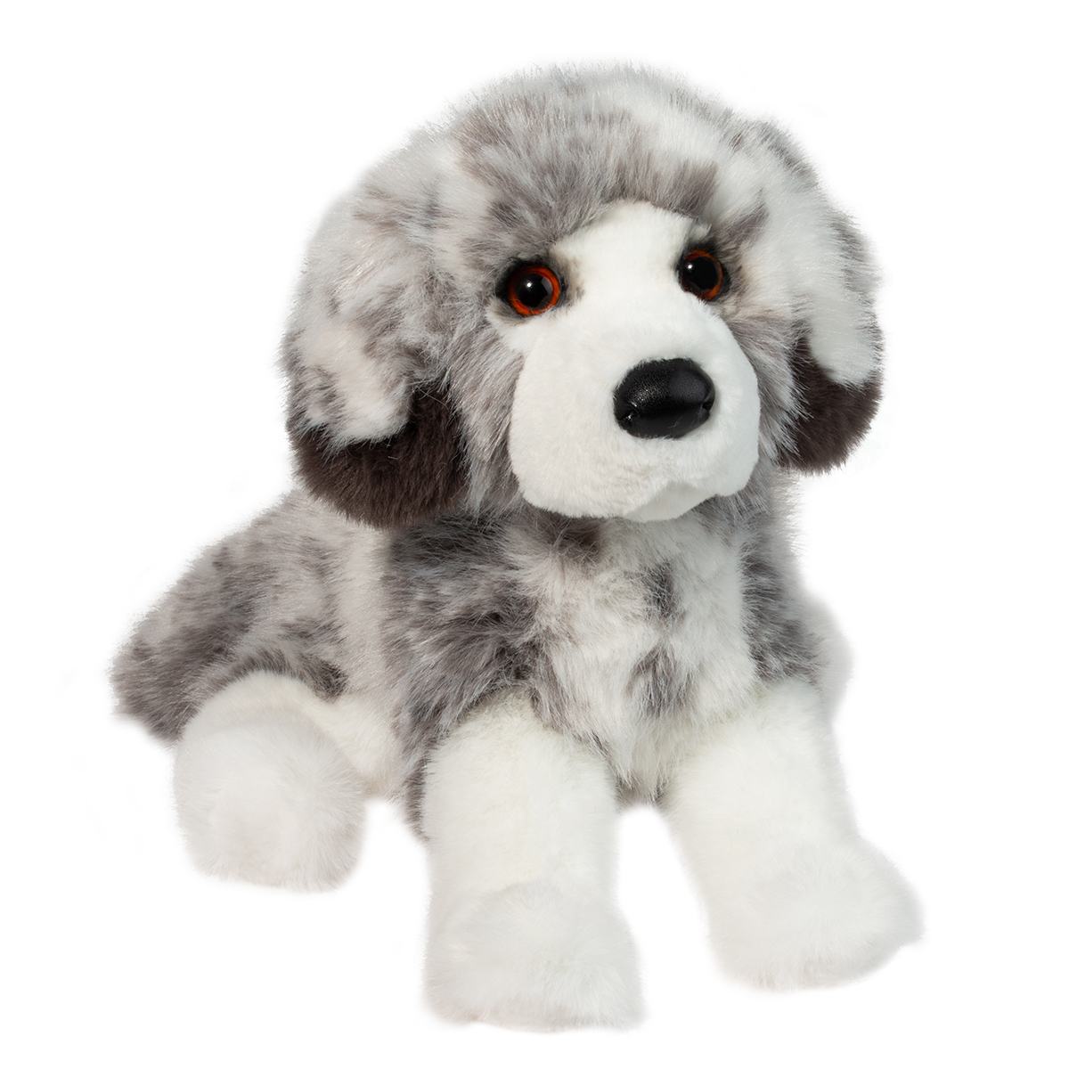 Skylar the DLux Australian Shepherd