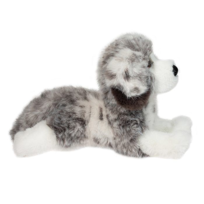 Skylar the DLux Australian Shepherd