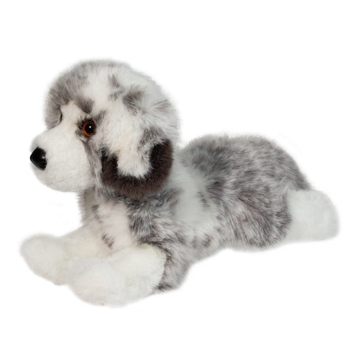 Skylar the DLux Australian Shepherd