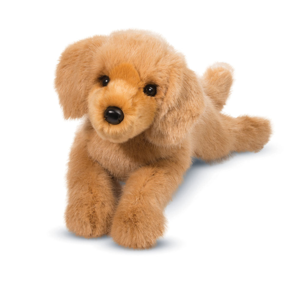 Oakley the DLux Golden Retriever