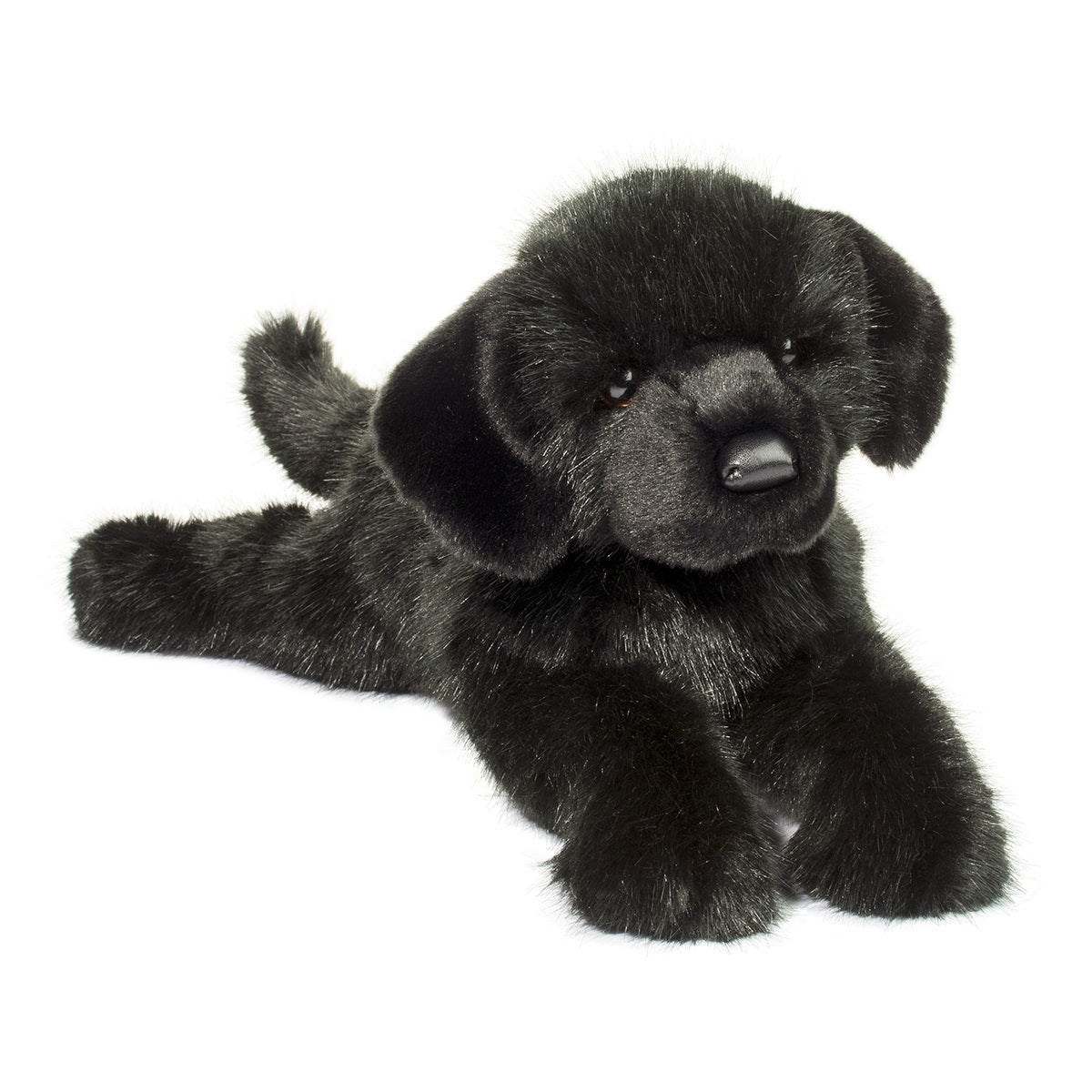 Jake the DLux Black Lab