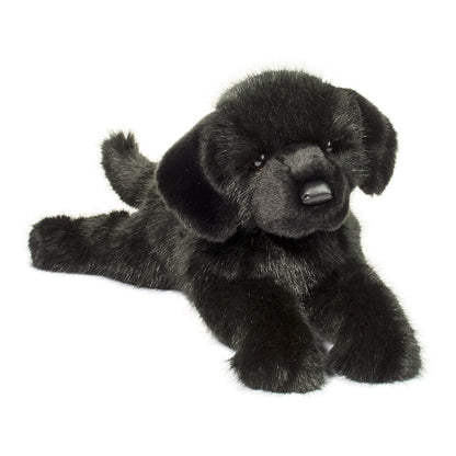 Jake the DLux Black Lab