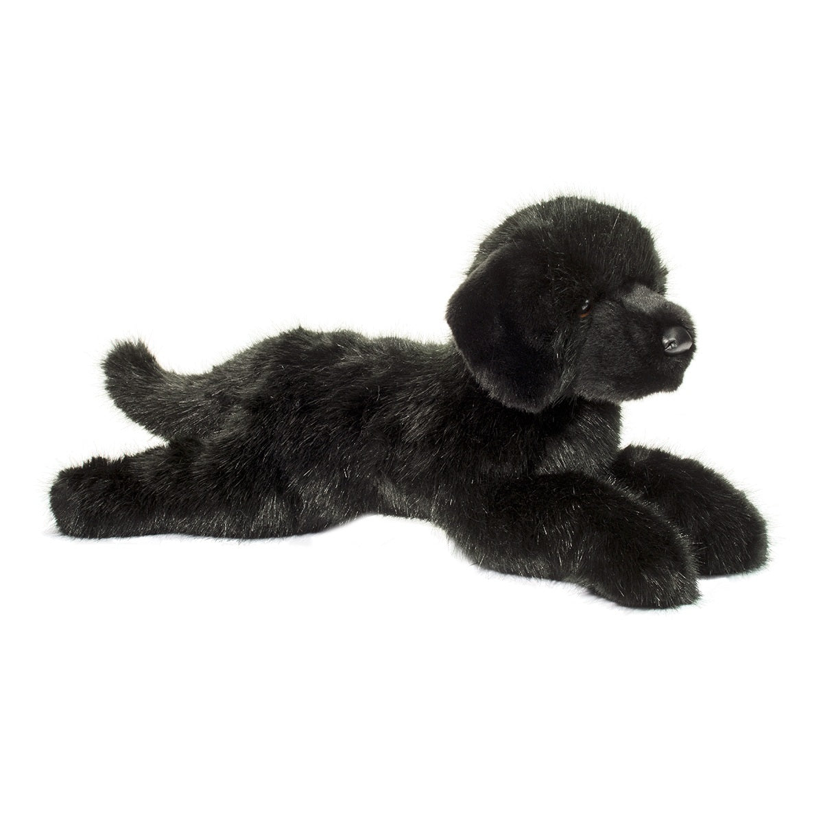 Jake the DLux Black Lab