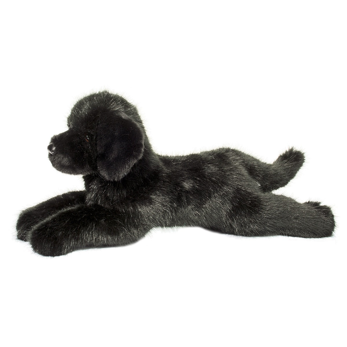 Jake the DLux Black Lab