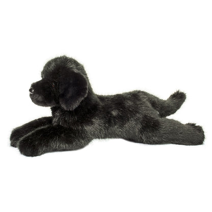 Jake the DLux Black Lab