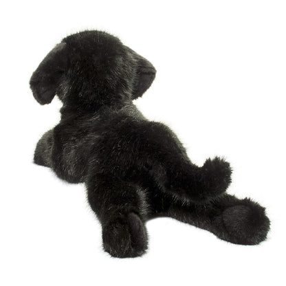 Jake the DLux Black Lab