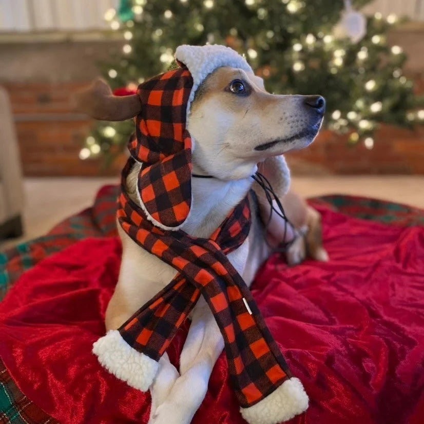 Buffalo Check Antler Hat (Multiple Sizes Available)