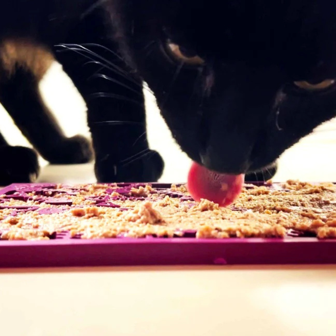 Fishy Lick Mat