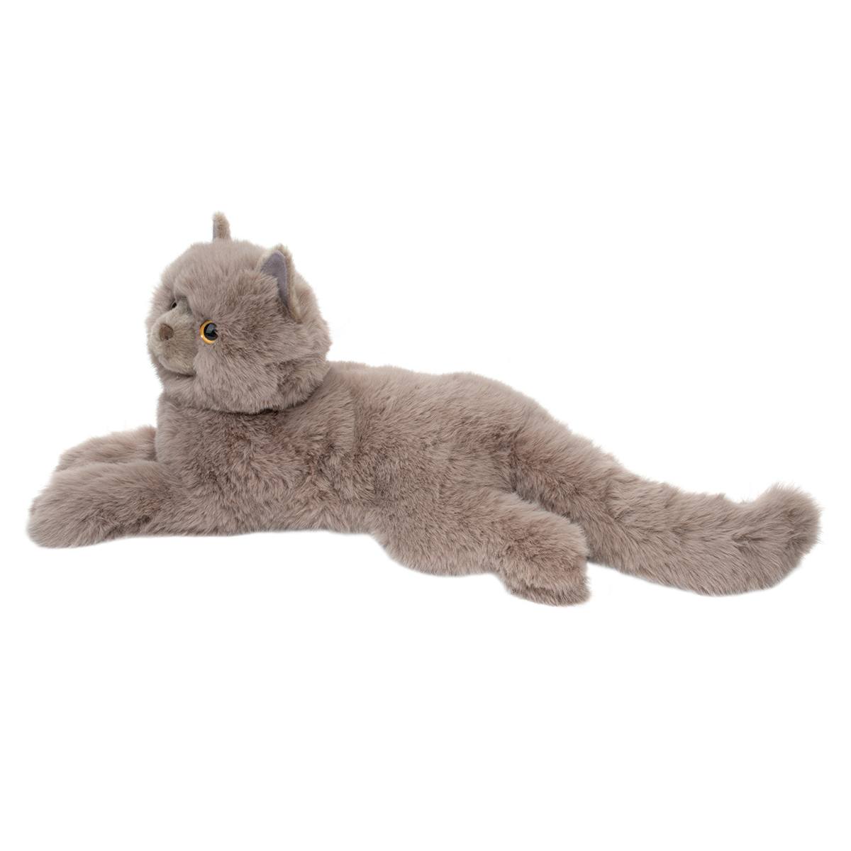 Juliette the Persian Cat