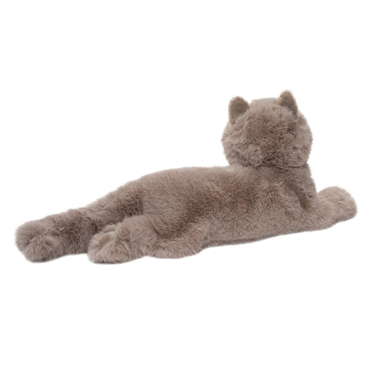 Juliette the Persian Cat
