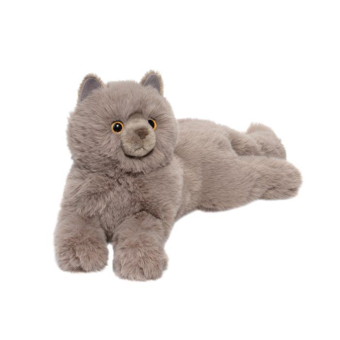 Juliette the Persian Cat