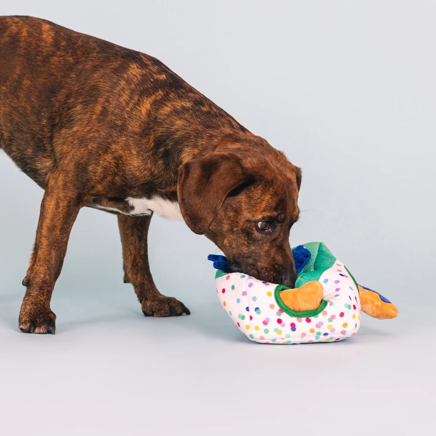 All About the Gifts Dog Toy