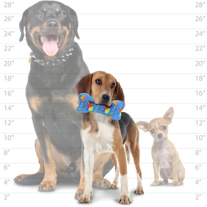 Mighty® Bone – Medium Celebration Toy