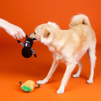 Oh My Gourd! Two Piece Dog Toy Set