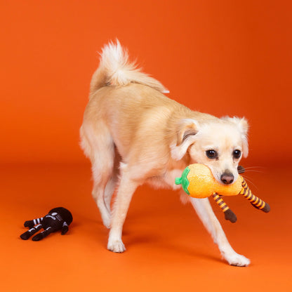 Oh My Gourd! Two Piece Dog Toy Set