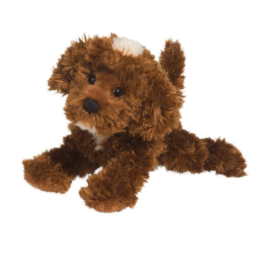 Bosco the Chocolate Labradoodle