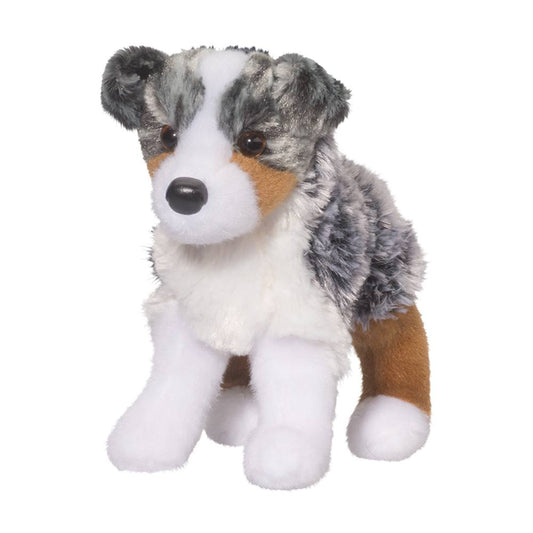 Steward the Australian Shepherd