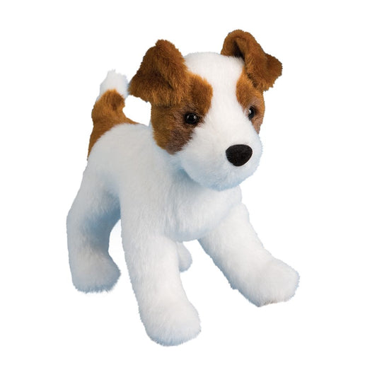 Feisty the Jack Russel Terrier