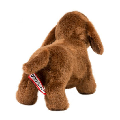 Dilly Dachshund