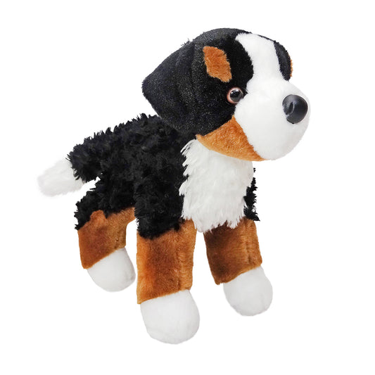 Miranda the Bernese Mountain Dog