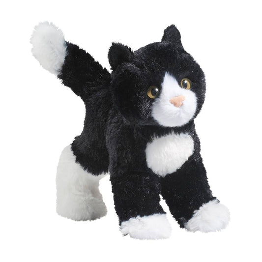 Snippy the Black & White Cat