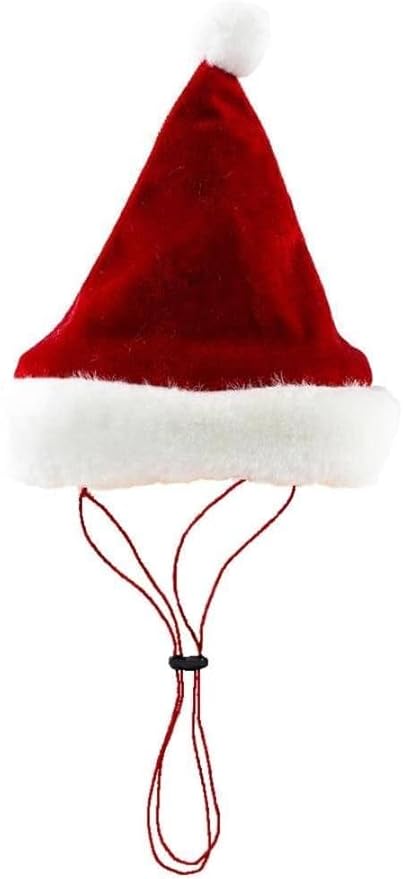 Santa Hat (Multiple Sizes Available)