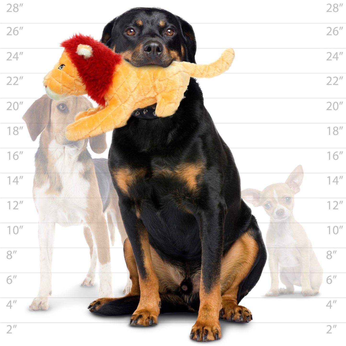 Mighty Safari Lion Toy