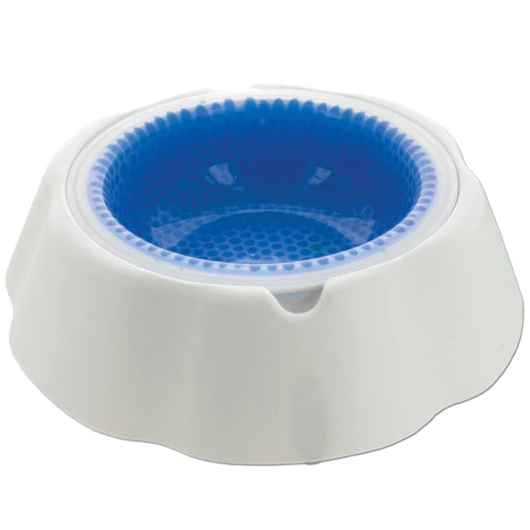 Frosty Water Chilling Dog Bowl - 16 oz.