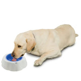 Frosty Water Chilling Dog Bowl - 16 oz.