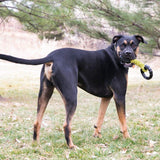 Jaxx Braided Tug Toy
