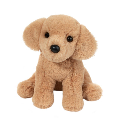 Goldie the Soft Golden Retriever