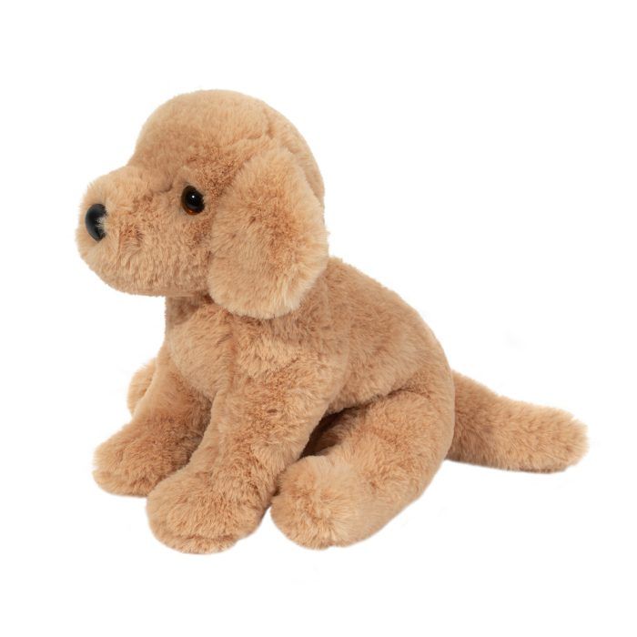 Goldie the Soft Golden Retriever